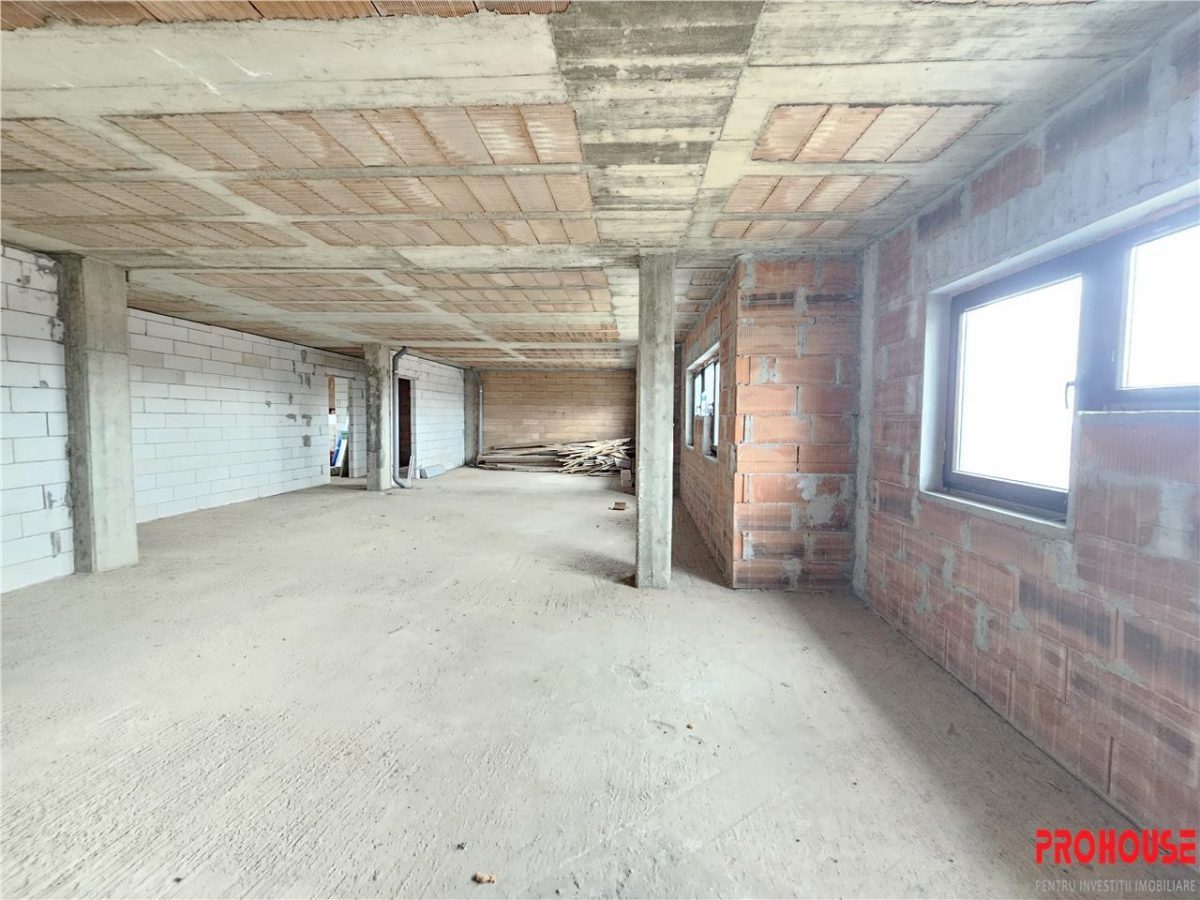 Nicolae Balcescu, Cladire D+P+E+M, 1.200 mp - foto 15