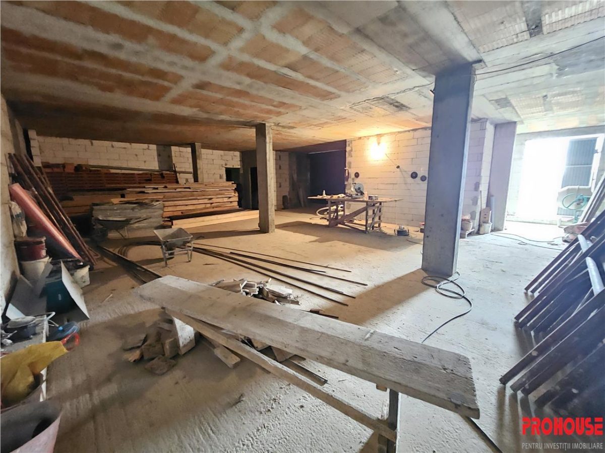 Nicolae Balcescu, Cladire D+P+E+M, 1.200 mp - foto 6