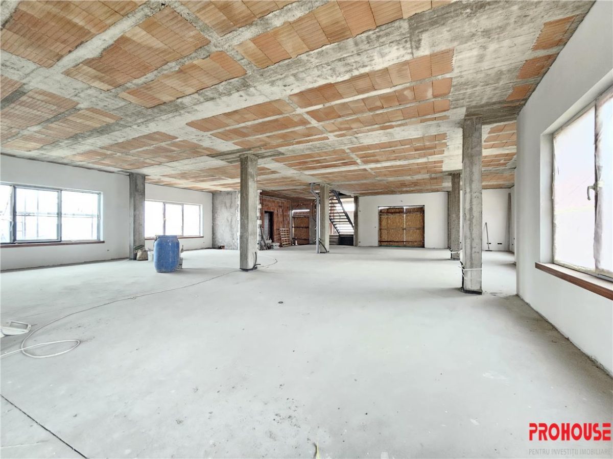 Nicolae Balcescu, Cladire D+P+E+M, 1.200 mp - foto 7