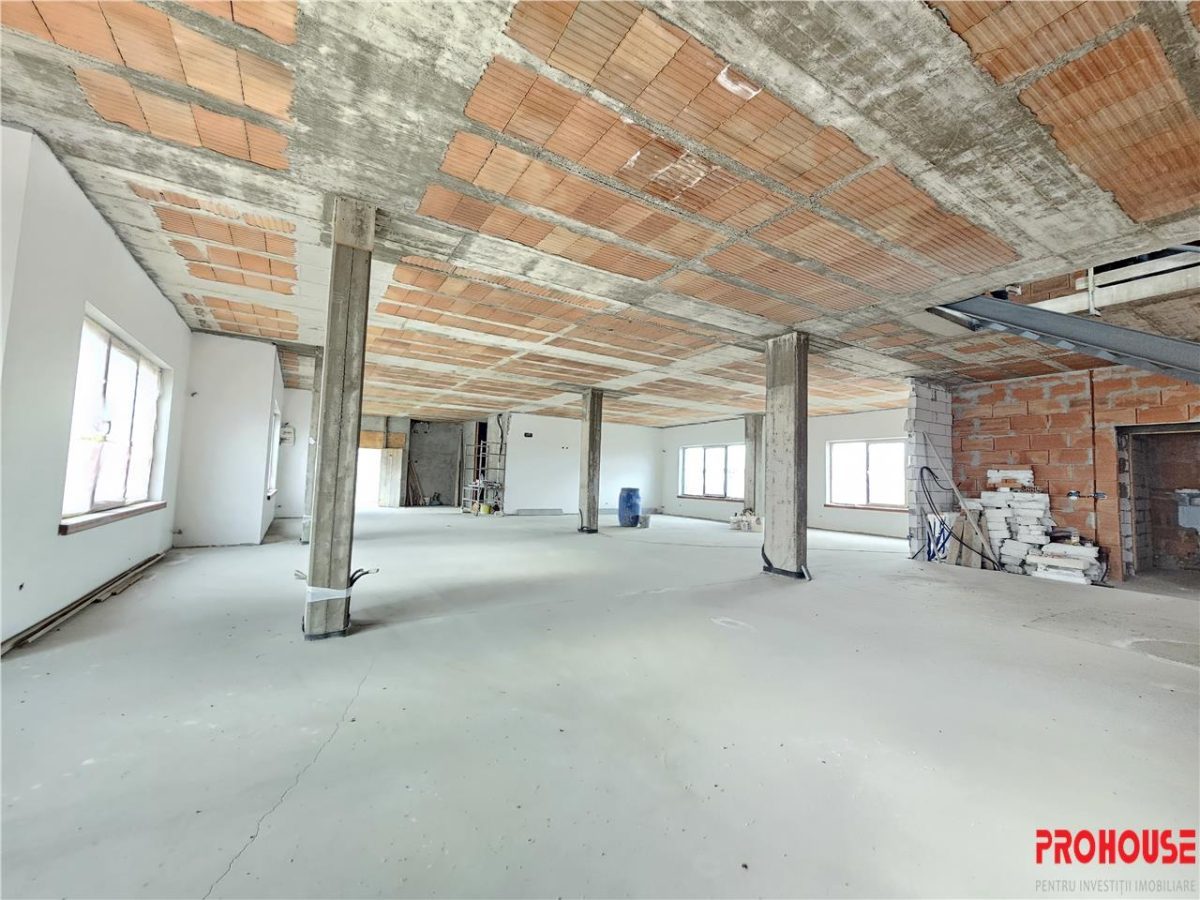 Nicolae Balcescu, Cladire D+P+E+M, 1.200 mp - foto 8