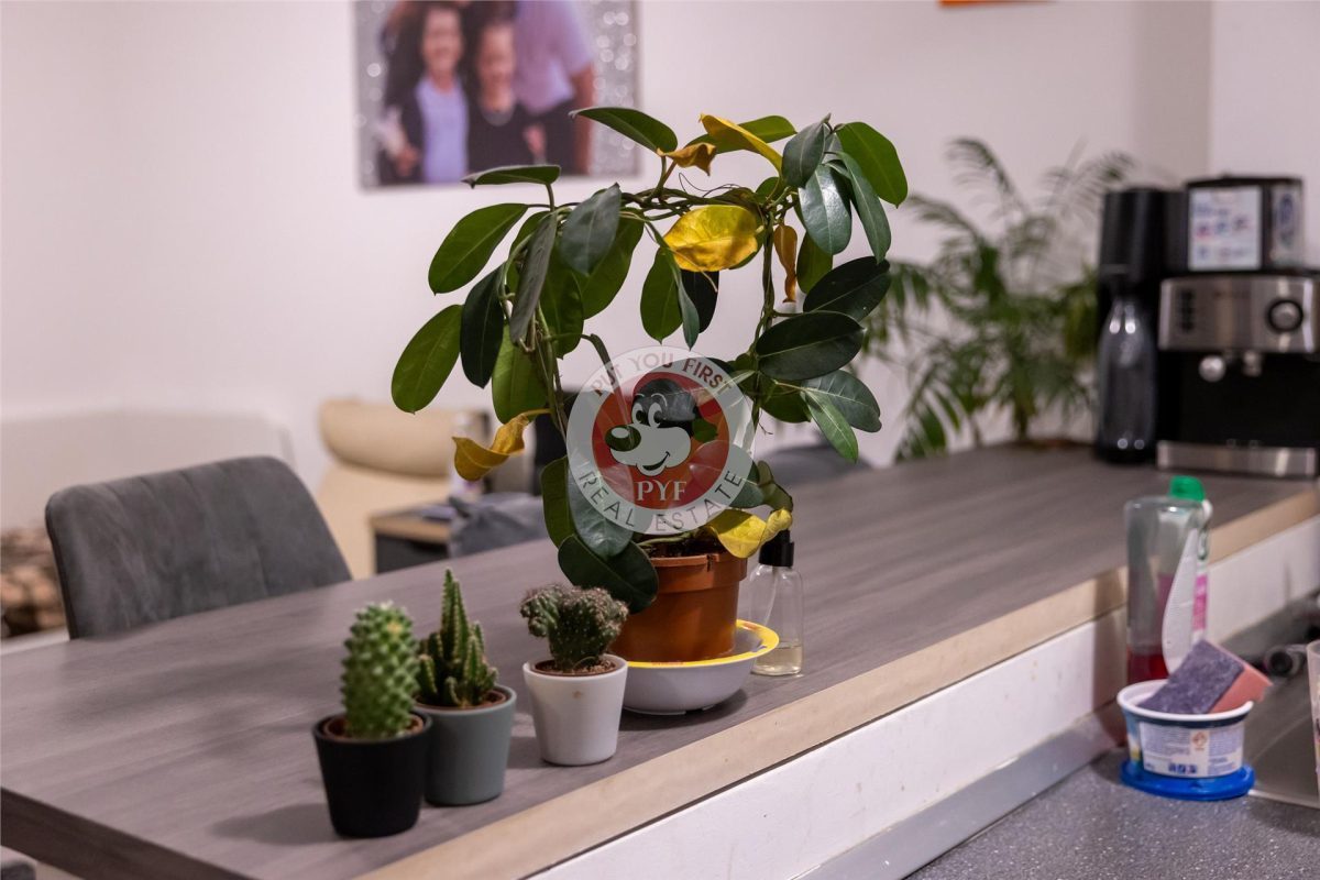 M D.Leonida | 2 cam | Dec | 48mp | 95.900Euro | B12705 - 