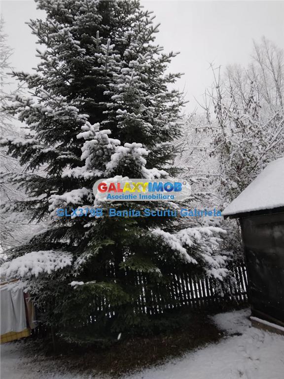 Vanzare vila   4 camere,,teren 730 mp zona Izvoarele,Prahova - foto 4