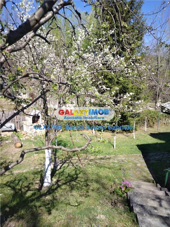 Vanzare vila   4 camere,,teren 730 mp zona Izvoarele,Prahova - foto 5