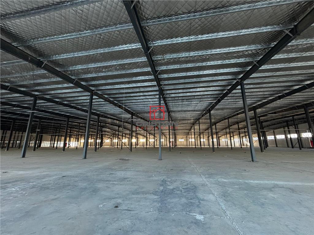 Inchiriere depozit/hala/spatiu industrial/showroom Afumati - DN2 - Dorally, Ilfov - foto 5