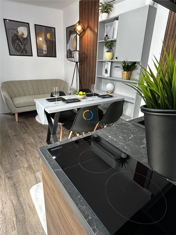 Vanzare casa de vacanta  DELTA DUNARII sat Partizani - foto 4