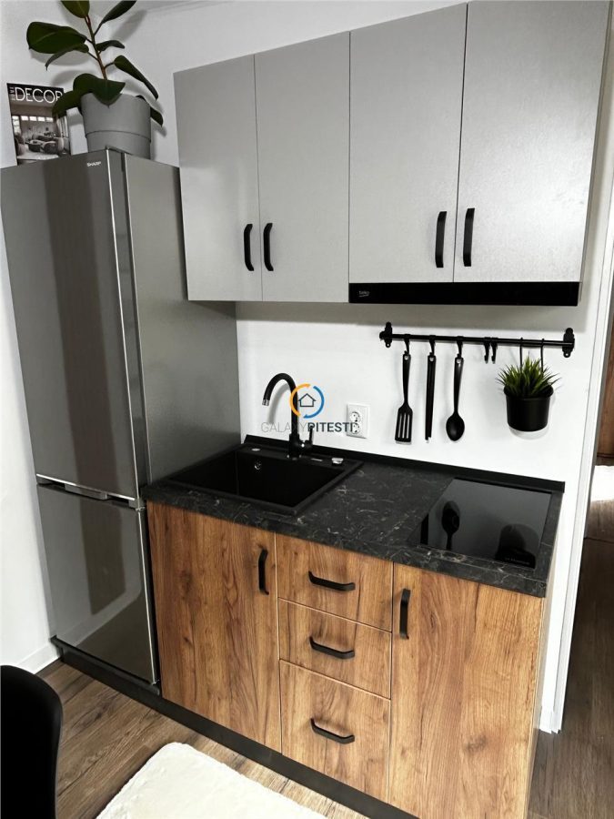 Vanzare casa de vacanta  DELTA DUNARII sat Partizani - foto 6