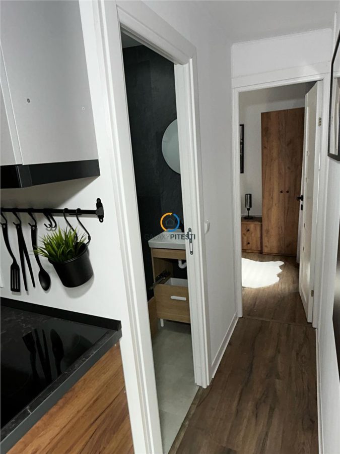 Vanzare casa de vacanta  DELTA DUNARII sat Partizani - foto 7