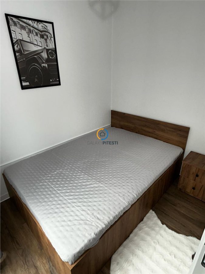 Vanzare casa de vacanta  DELTA DUNARII sat Partizani - foto 10