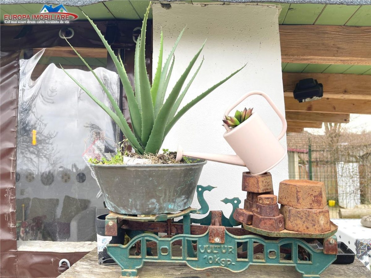 Casa de vanzare in Nufaru - foto 20