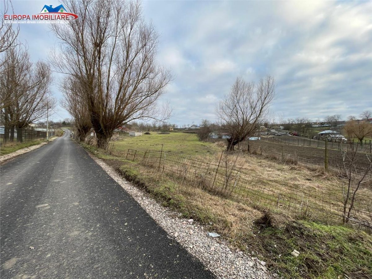 Teren de vanzare in Frecatei Tulcea - foto 10