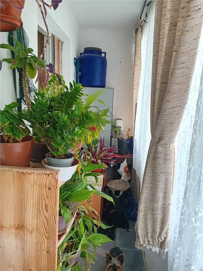 SPITALUL JUDETEAN |3 CAM |2 BALCOANE| CENTRALA | ZONA EXCELENTA - foto 11