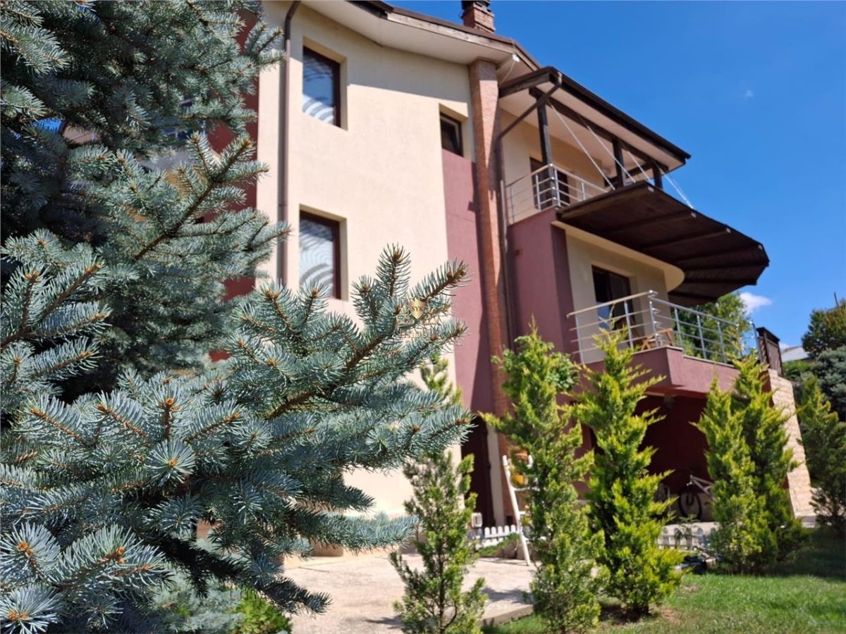 Vila eleganta -  proiect deosebit crama garaj sala de fitnes foisor si 825m teren Plopii fara sot Bucium.Comision 0! - foto 12