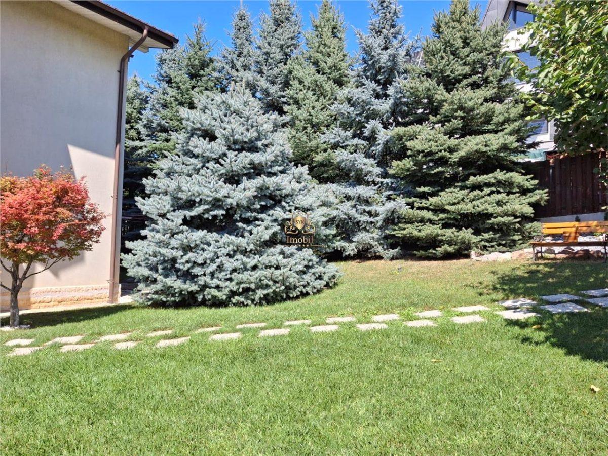 Vila eleganta -  proiect deosebit crama garaj sala de fitnes foisor si 825m teren Plopii fara sot Bucium.Comision 0! - foto 18