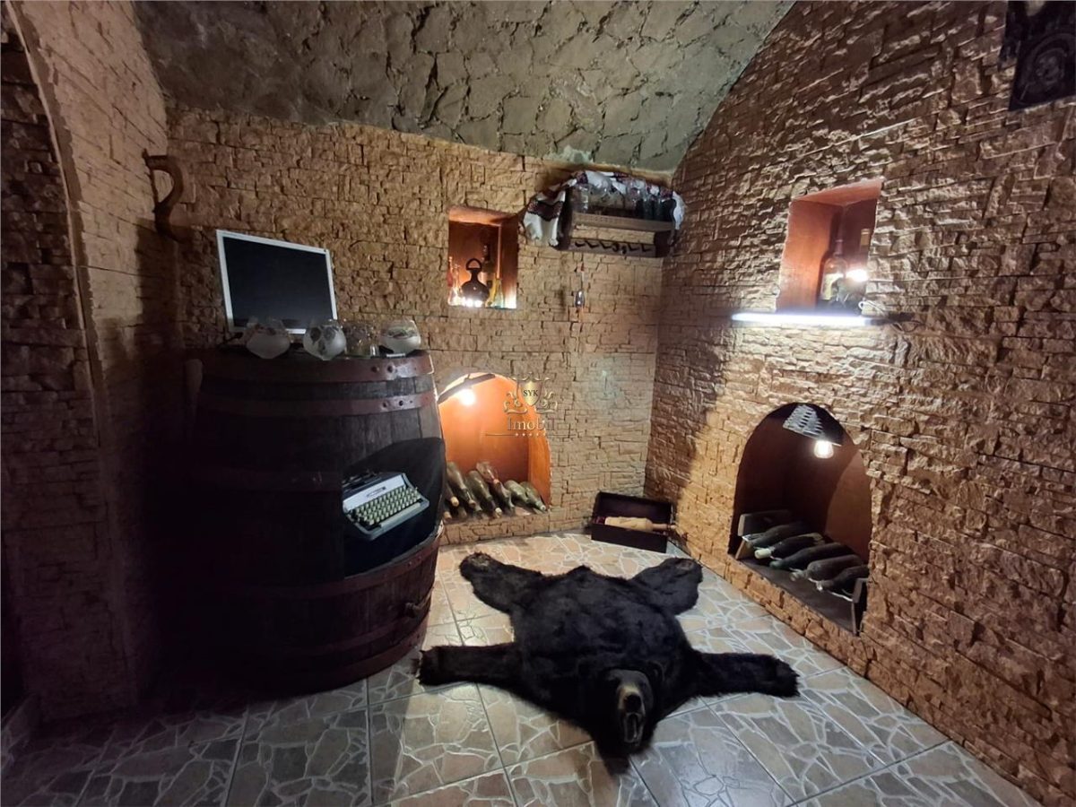 Vila eleganta -  proiect deosebit crama garaj sala de fitnes foisor si 825m teren Plopii fara sot Bucium.Comision 0! - foto 23