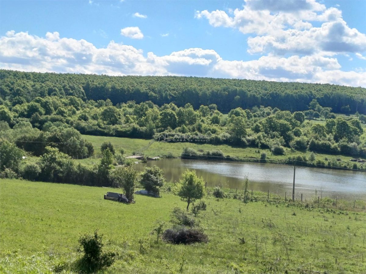 Loturi de teren de vanzare la Tocile cu vedere la lac - foto 2