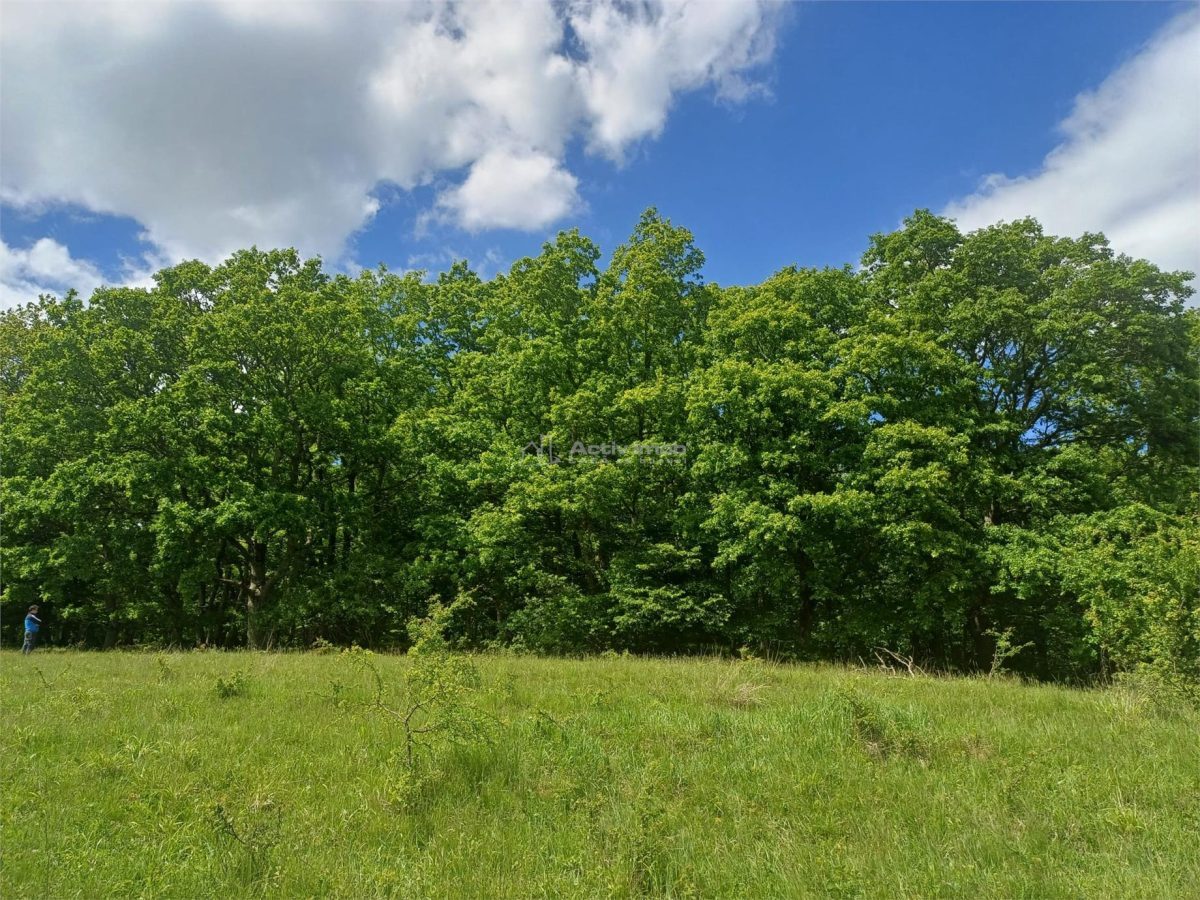 Loturi de teren de vanzare la Tocile cu vedere la lac - foto 4
