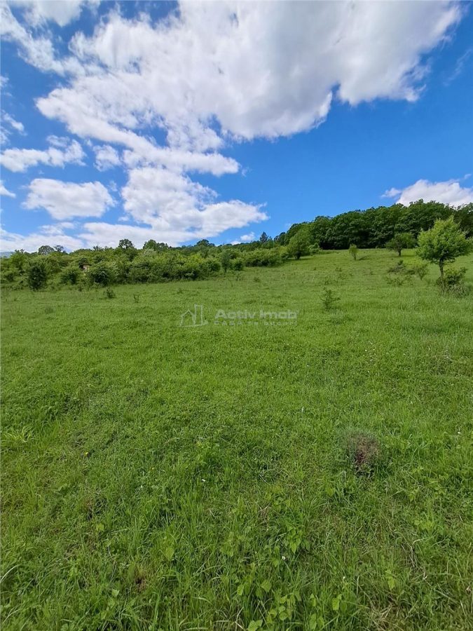 Loturi de teren de vanzare la Tocile cu vedere la lac - foto 6