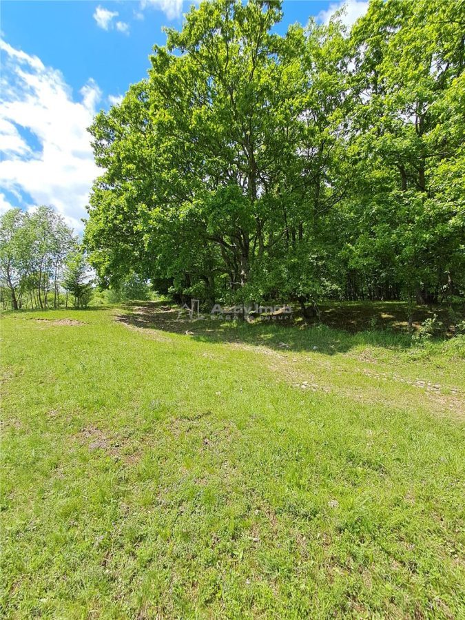 Loturi de teren de vanzare la Tocile cu vedere la lac - foto 7