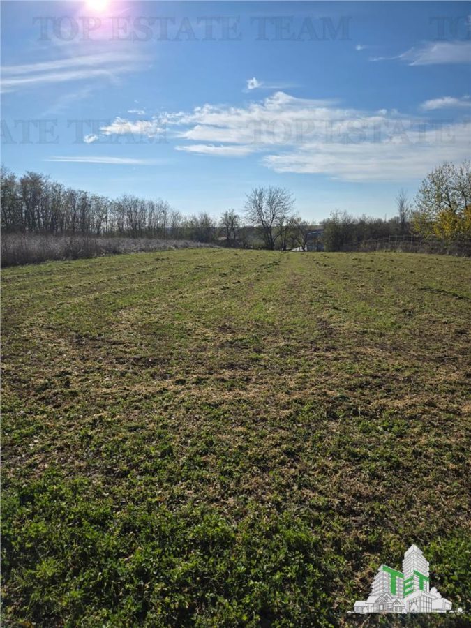 Teren intravilan, 3751mp oportunitate de investitie, cu utilitati, comuna Daia, judetul Giurgiu - 