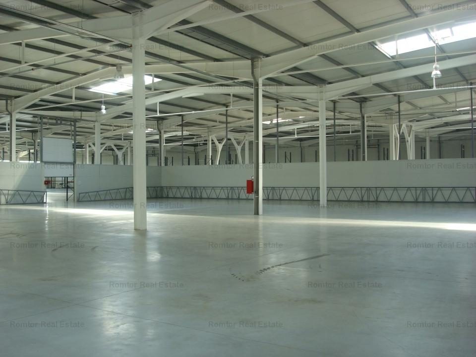 Zona Est - Drumul Intre Tarlale - Autostrada A2 - foto 3