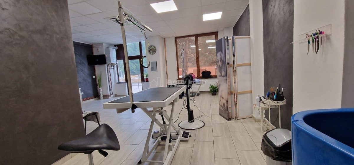 Resita Central Sp.Com.Judecatorie - foto 2