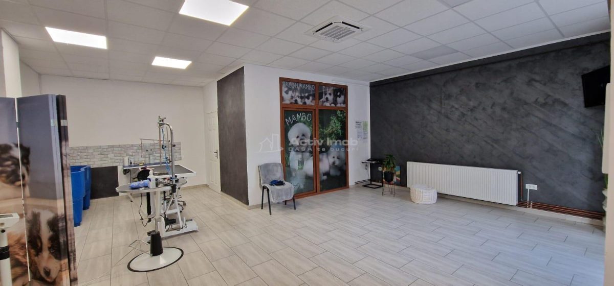 Resita Central Sp.Com.Judecatorie - foto 3