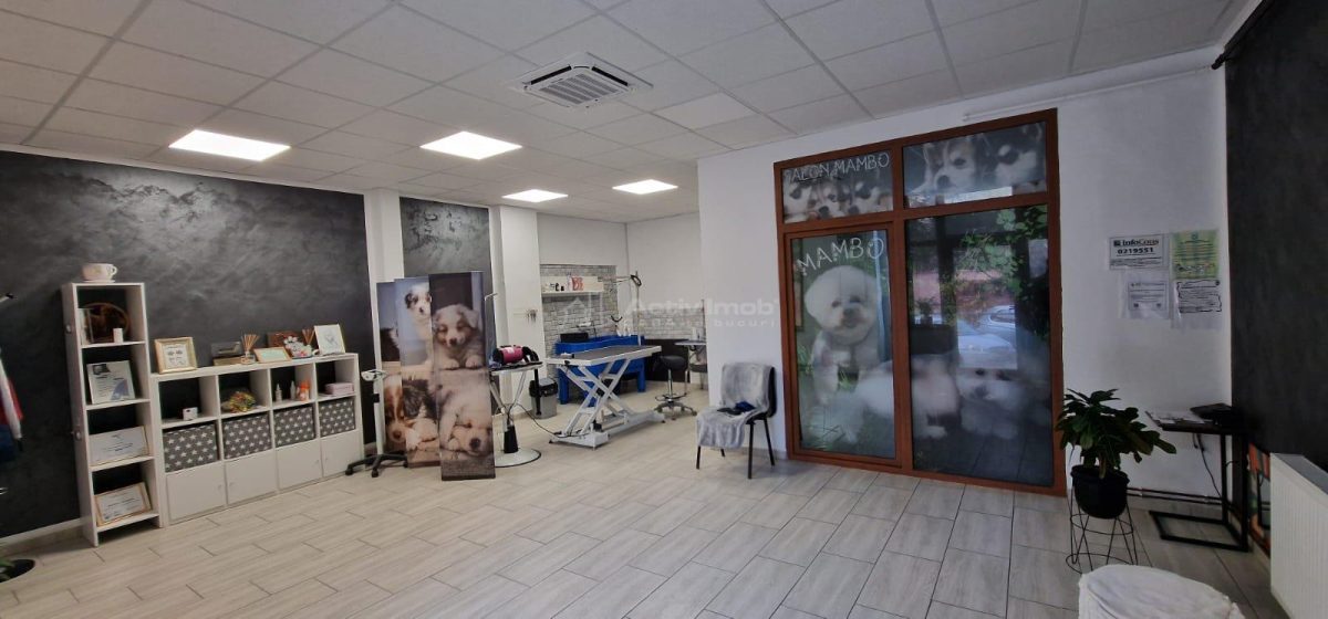 Resita Central Sp.Com.Judecatorie - foto 4