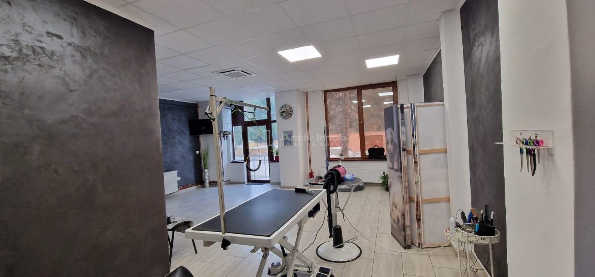 Resita Central Sp.Com.Judecatorie - foto 6