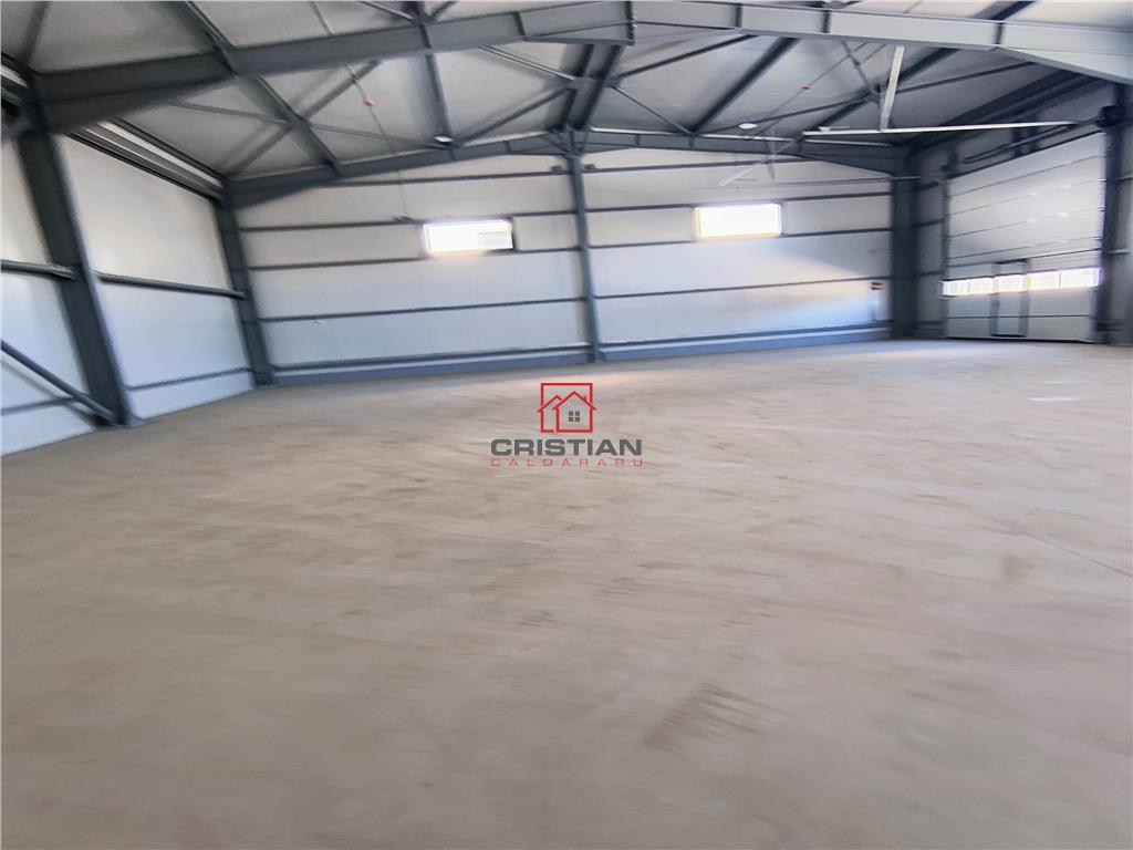 Inchiriere depozit/hala/spatiu industrial Domnesti - Centura - foto 6