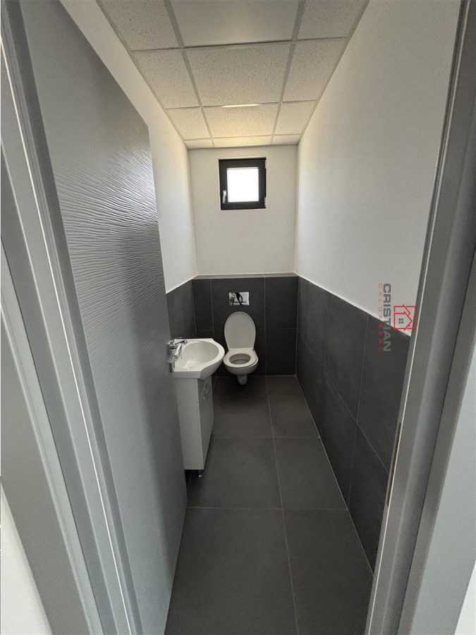 Inchiriere depozit/hala/spatiu industrial Chiajna - Chitila - Rudeni - foto 12