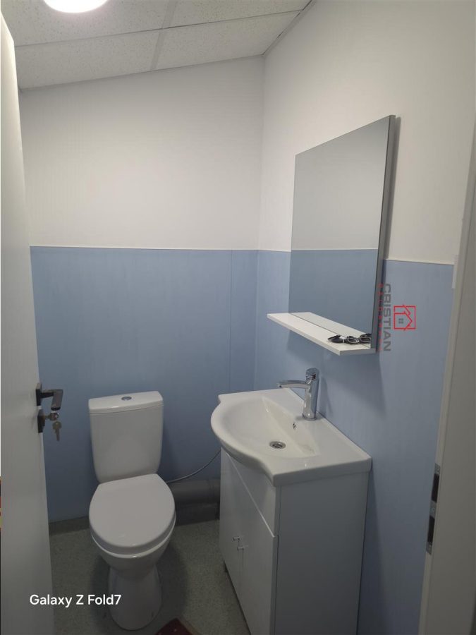 Inchiriere depozit/hala/spatiu industrial Popesti Leordeni - soseaua Oltenitei - Centura - foto 17