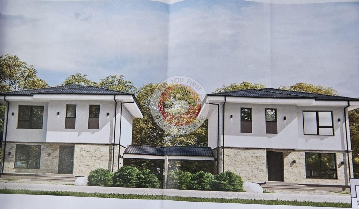 Domnesti | Teiului | P+1 | 5 camere | Individuala | B12870 - foto 3