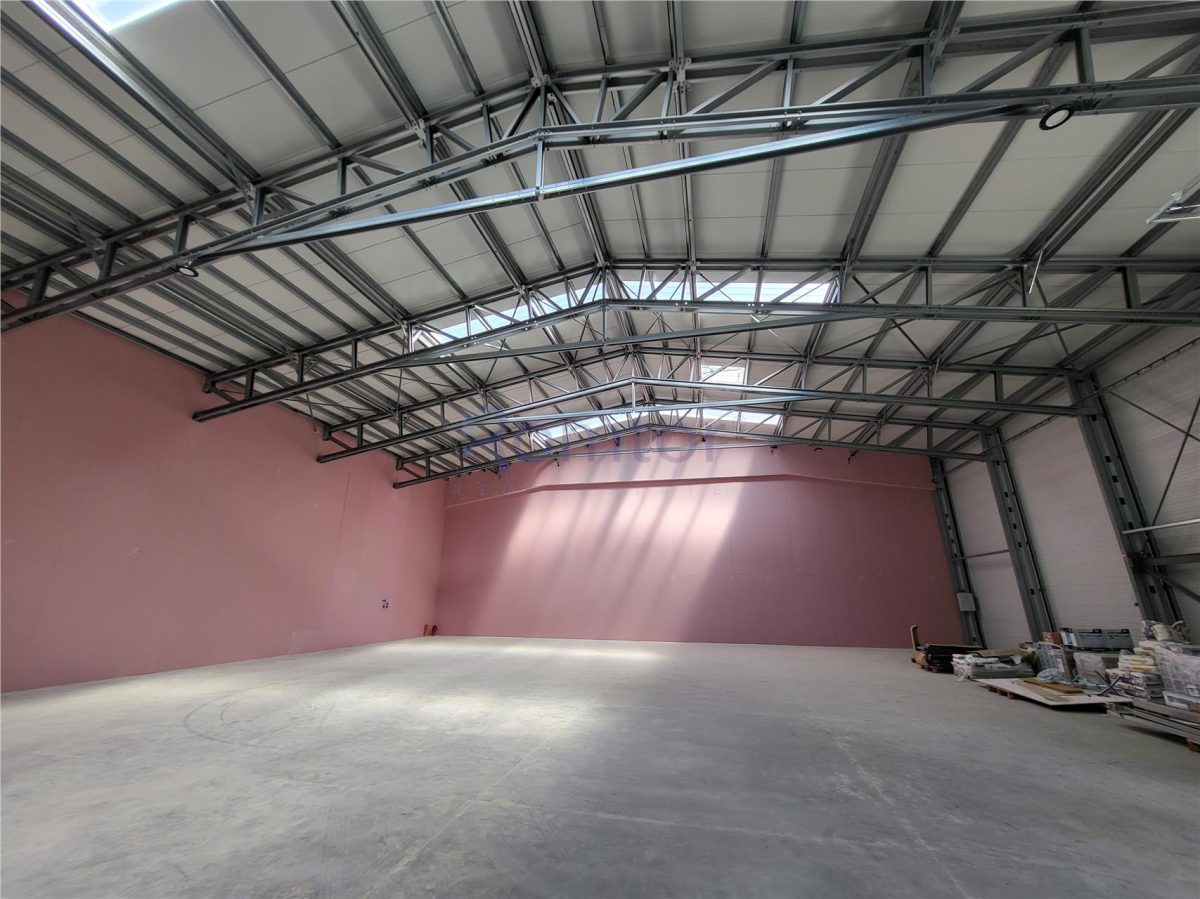 Zona Nord - Mogosoaia - Buftea - foto 4