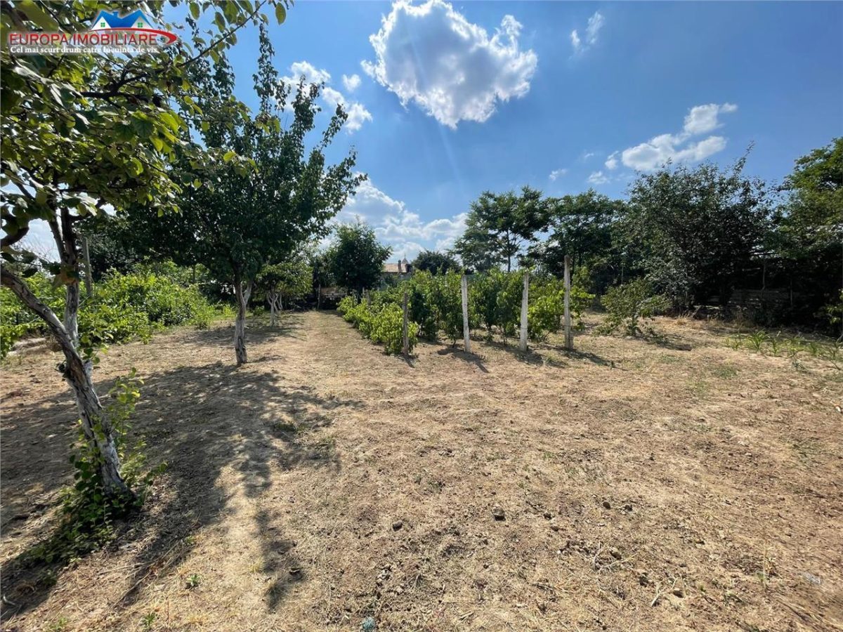 Casa  de vanzare zona Alexandru cel Bun-Tulcea - foto 3