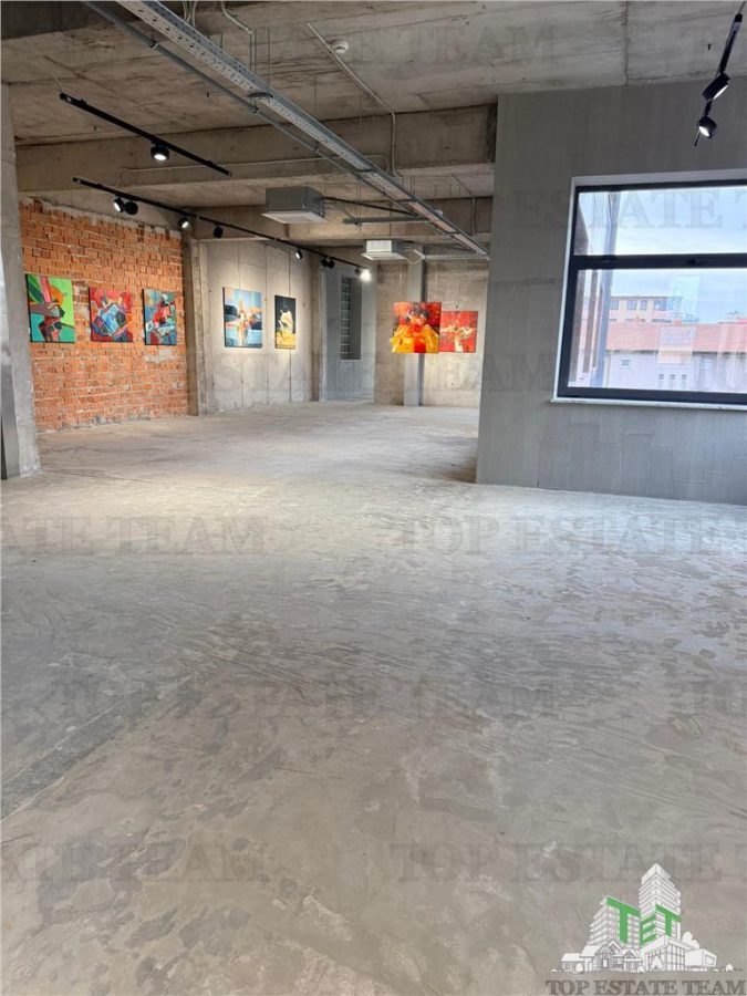 Cladire de inchiriat in zona Floreasca/Dorobanti - foto 15