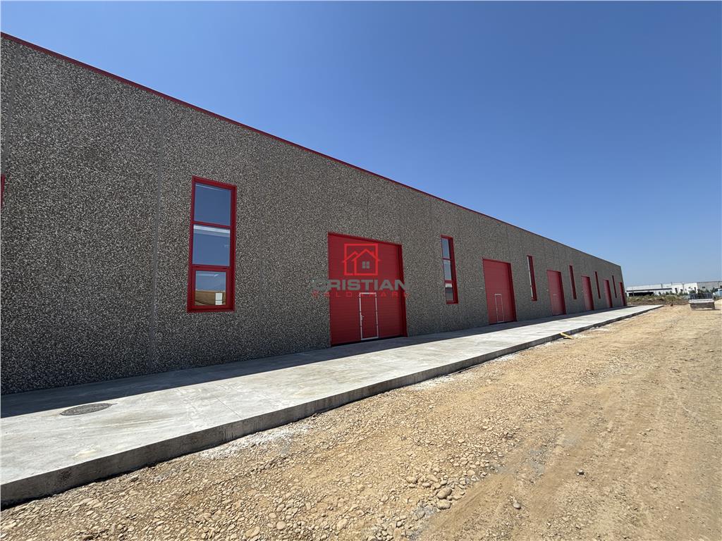 Vanzare depozit/spatiu industrial/hala Chitila - Rudeni, ILFOV - foto 11