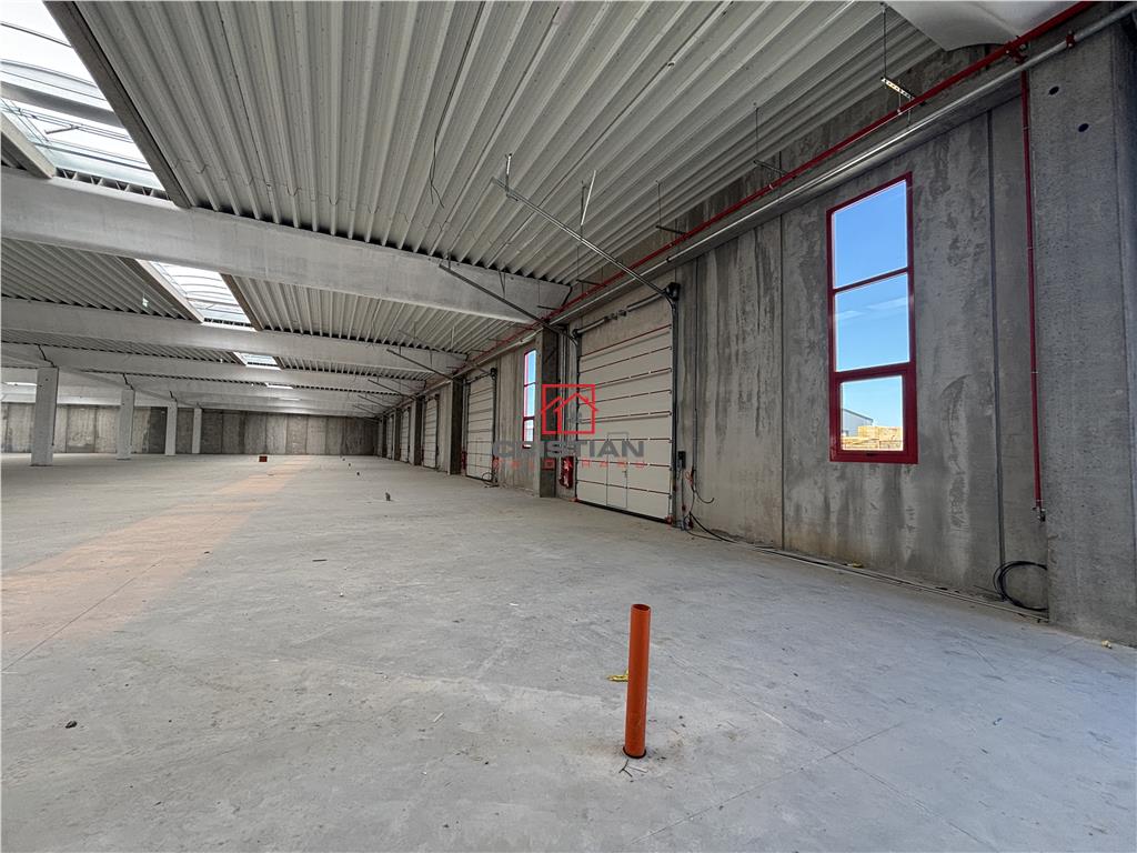 Vanzare depozit/spatiu industrial/hala Chitila - Rudeni, ILFOV - foto 6