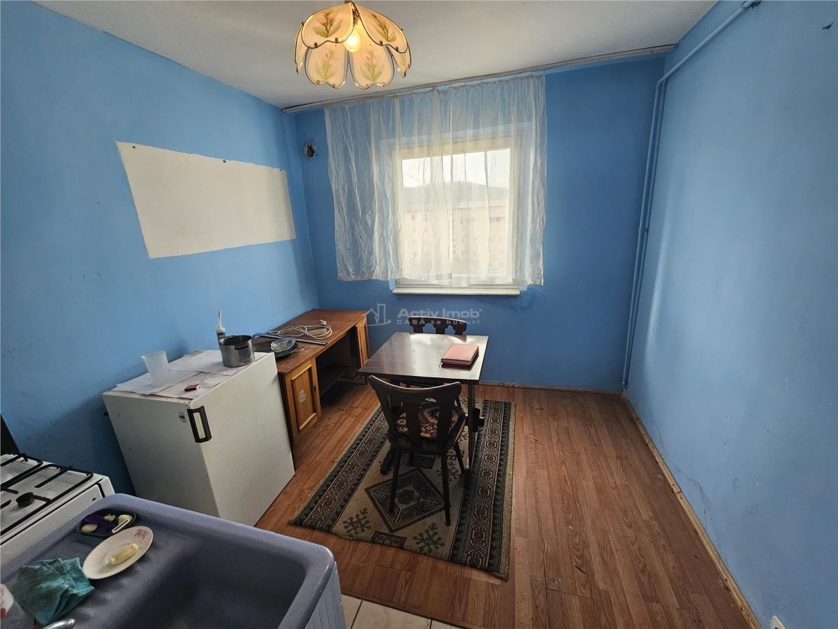 Resita, Garsoniera, Mobilata, Calea Caransebesului - foto 11