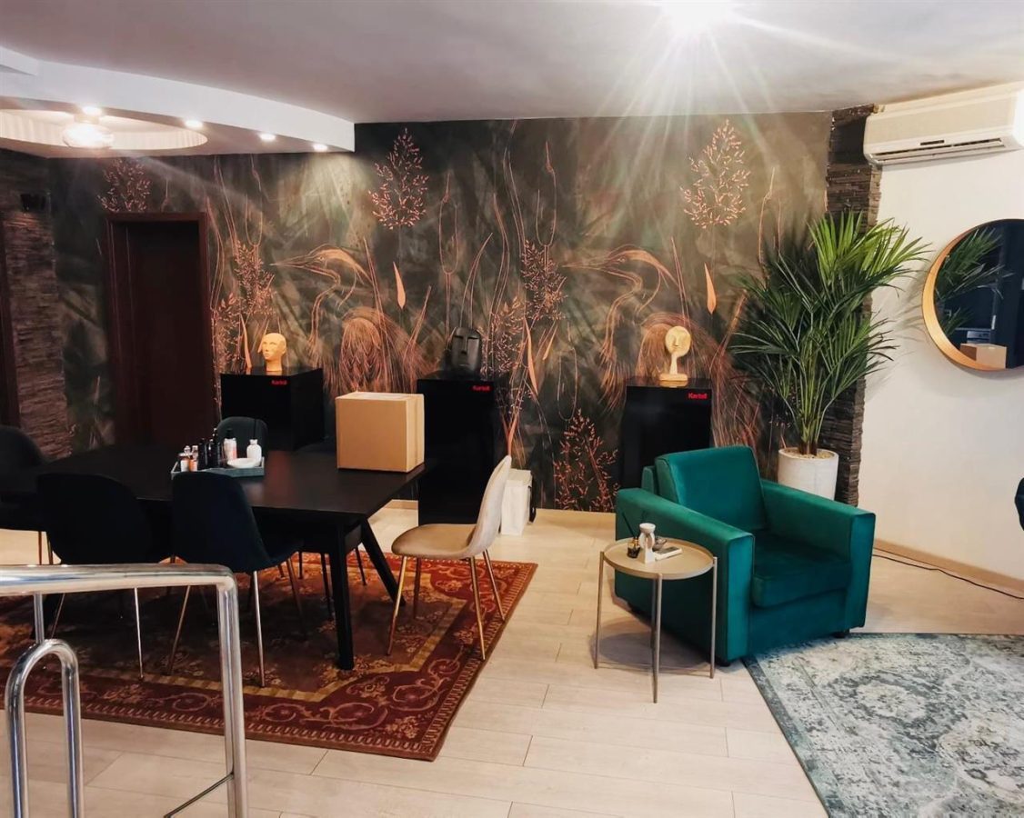 INCHIRIERE APARTAMENT 5 CAMERE DUPLEX ZONA NICOLAE CARAMFIL HERASTRAU SECTOR 1 - foto 5