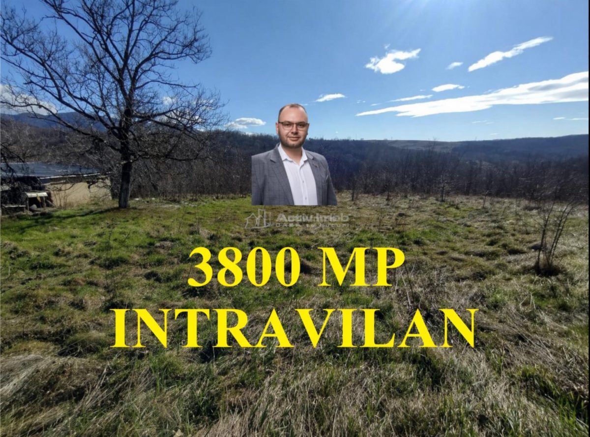 Oravita, Teren Intravilan,  3,8 Euro MP, In Oras, Usor Negociabil - 
