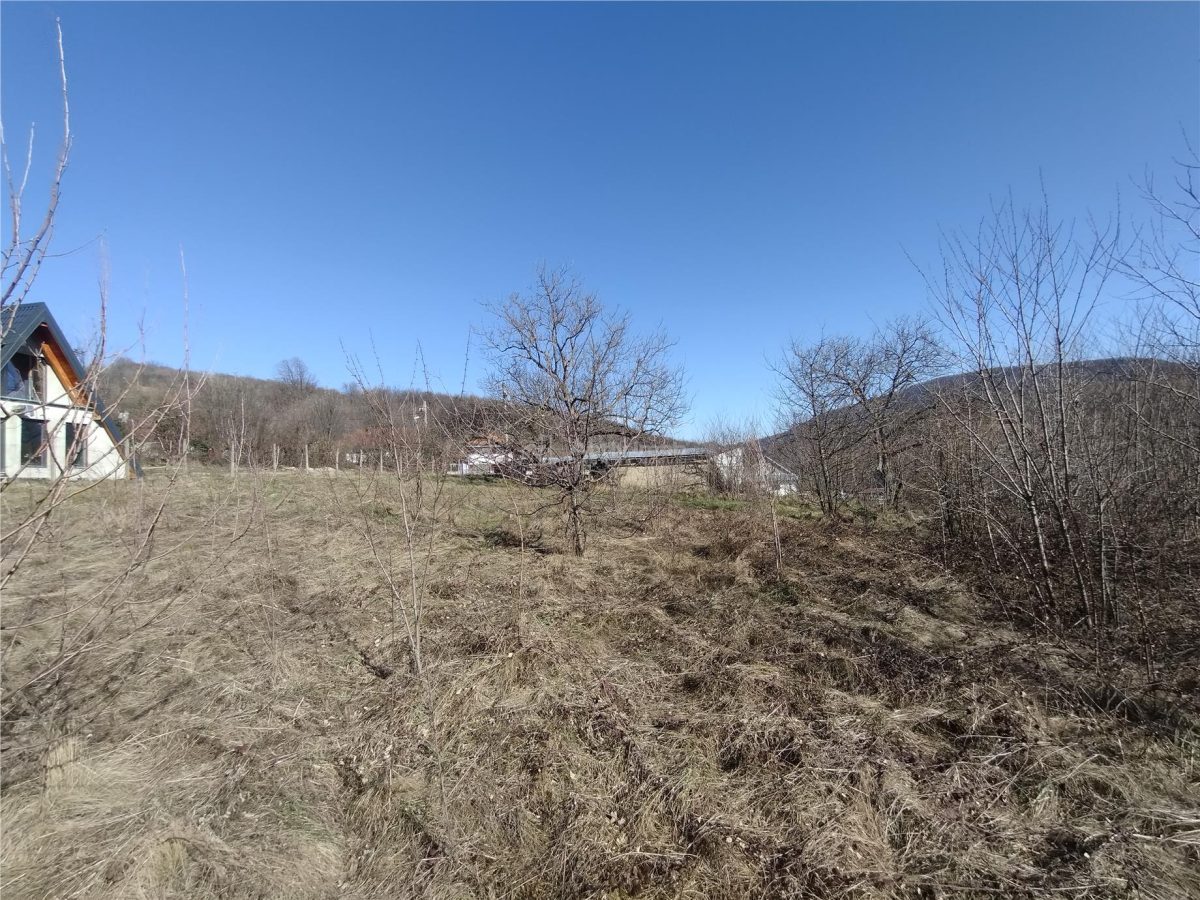 Oravita, Teren Intravilan,  3,8 Euro MP, In Oras, Usor Negociabil - foto 17