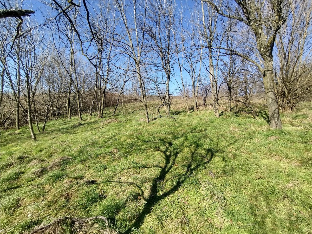 Oravita, Teren Intravilan,  3,8 Euro MP, In Oras, Usor Negociabil - foto 19