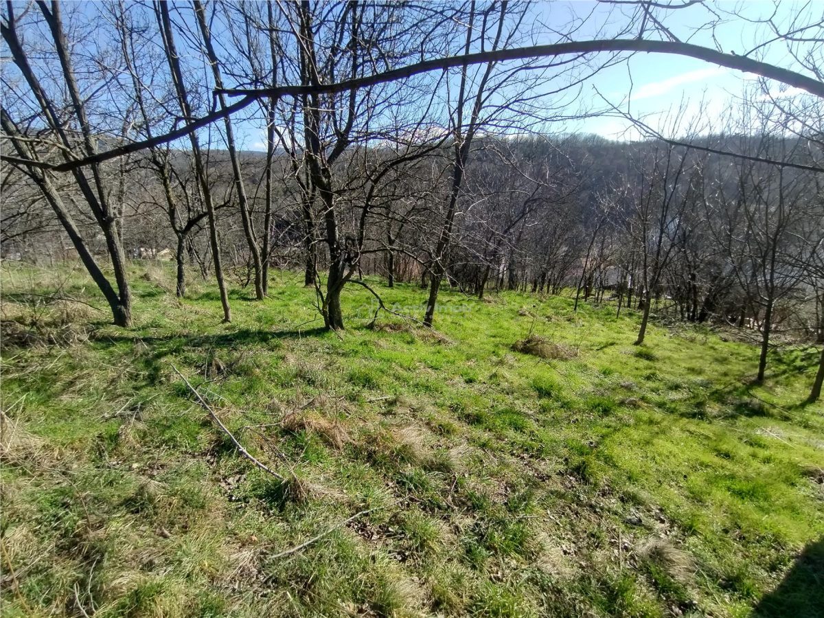 Oravita, Teren Intravilan,  3,8 Euro MP, In Oras, Usor Negociabil - foto 20