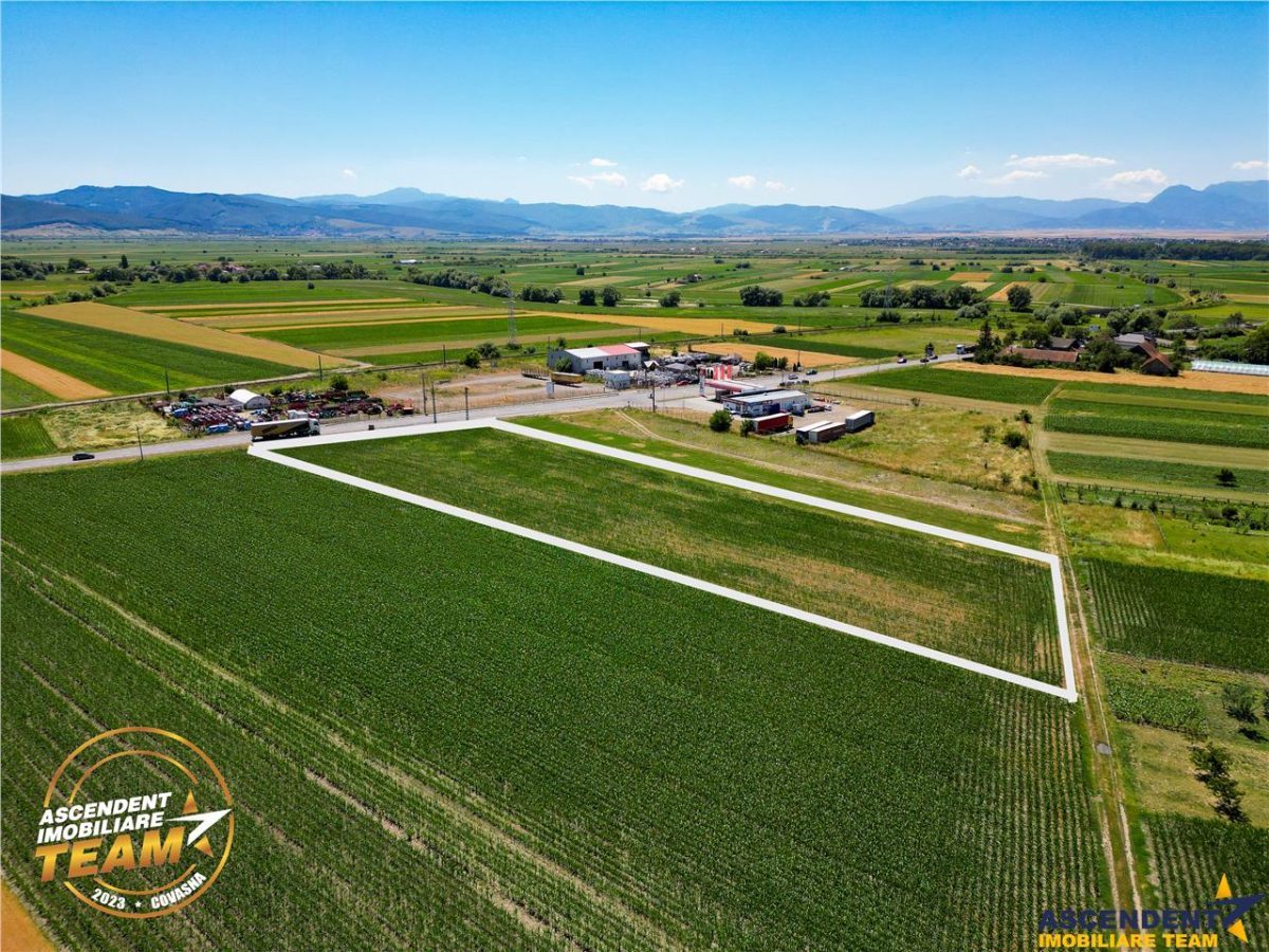 8.400mp, la DN12, cu Certificat Urbanism, teren intravilan, Chichis, Covasna. - 