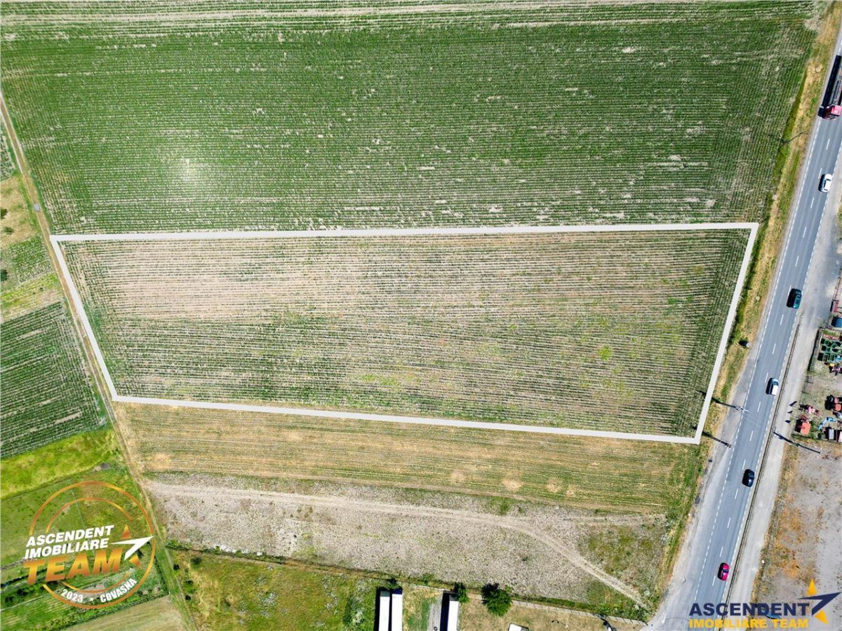 8.400mp, la DN12, cu Certificat Urbanism, teren intravilan, Chichis, Covasna. - foto 4