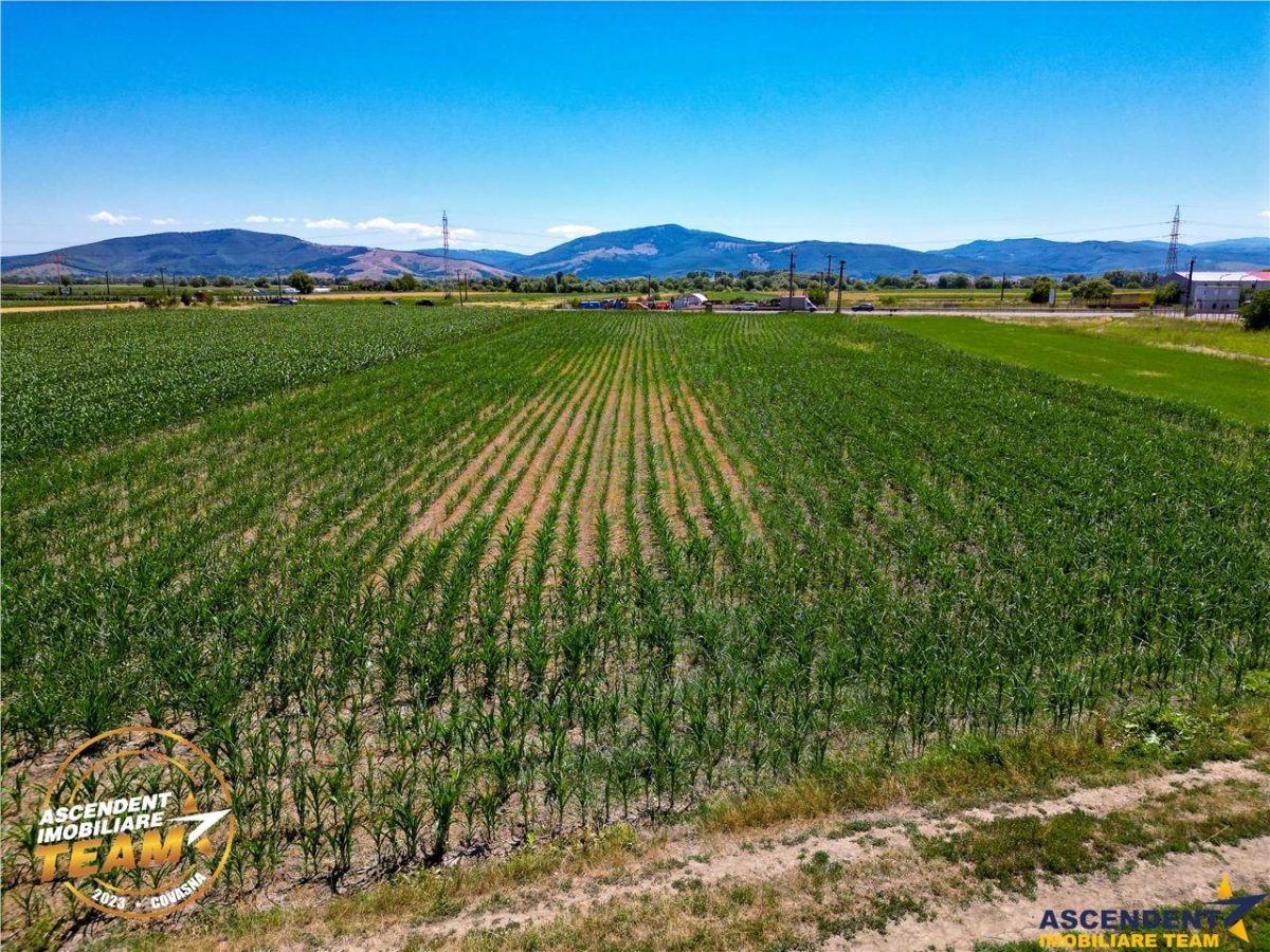 8.400mp, la DN12, cu Certificat Urbanism, teren intravilan, Chichis, Covasna. - foto 5