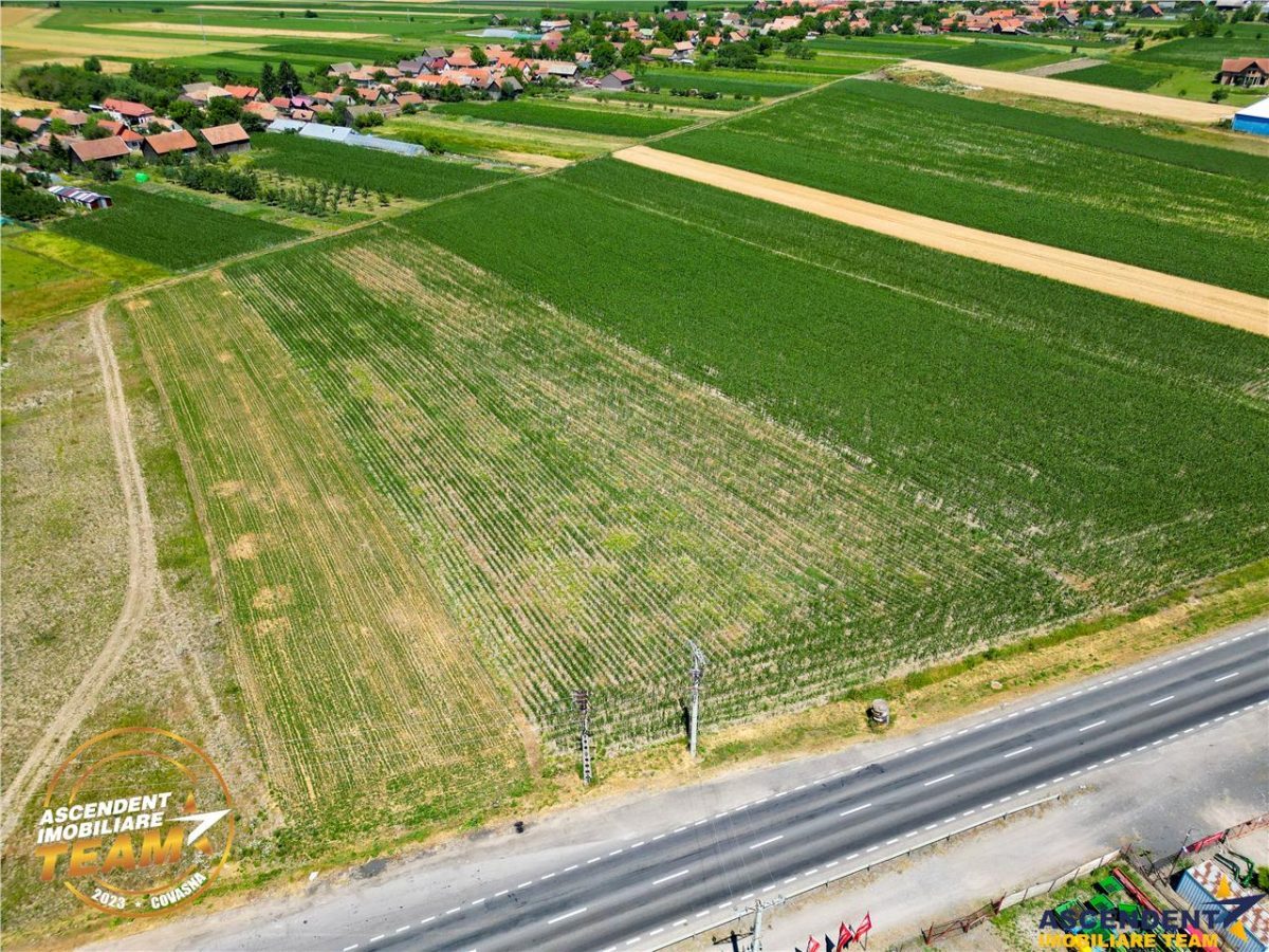 8.400mp, la DN12, cu Certificat Urbanism, teren intravilan, Chichis, Covasna. - foto 6