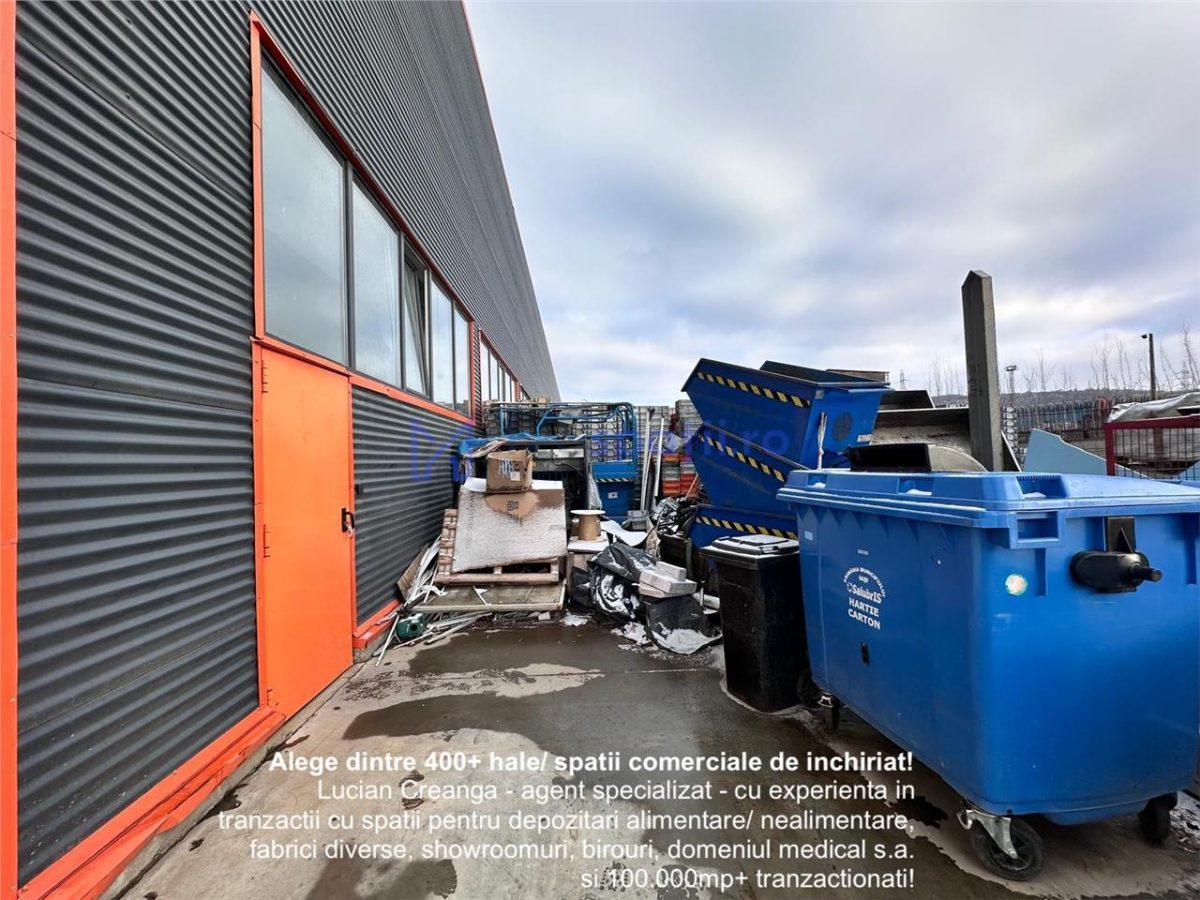 Hala productie - depozitare, 110mp, aproape de Carrefour Felicia - 