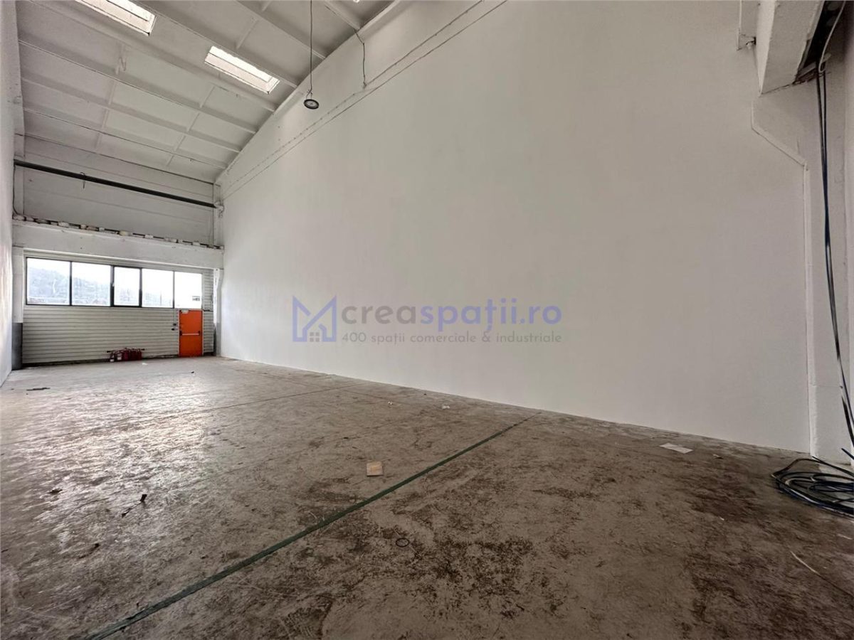 Hala productie - depozitare, 110mp, aproape de Carrefour Felicia - foto 11