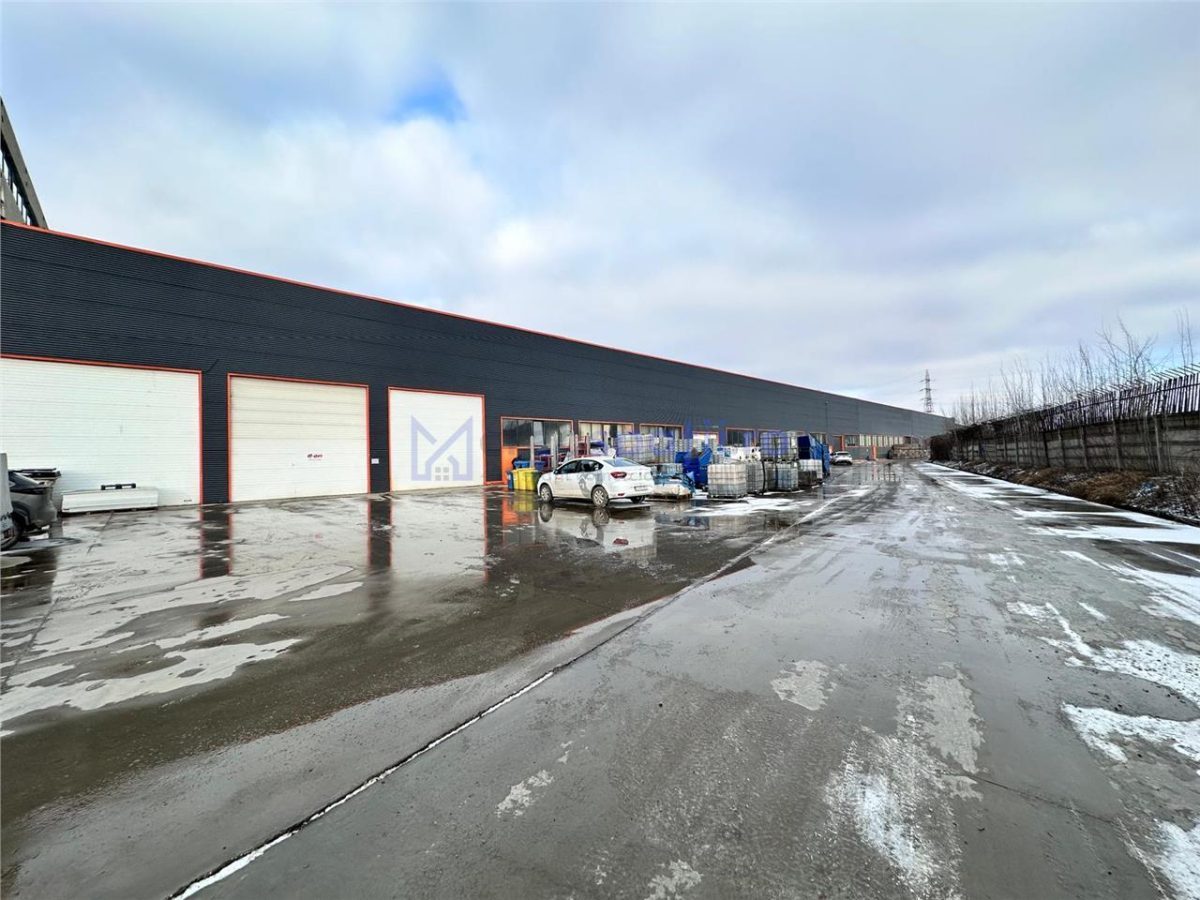 Hala productie - depozitare, 110mp, aproape de Carrefour Felicia - foto 3